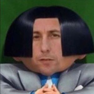 Meet your Posher, Max